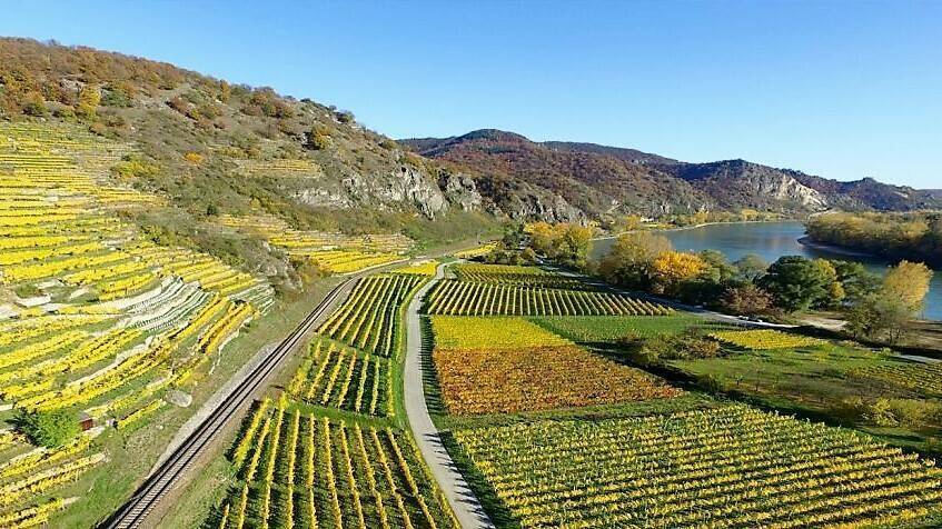 drone visión|agricultura de precisión|precisión